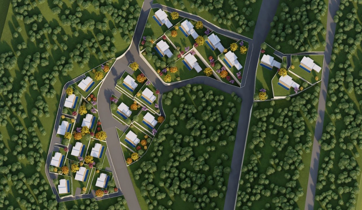 Layout Plan